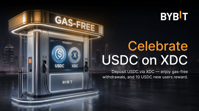 Bybit USDC Savings